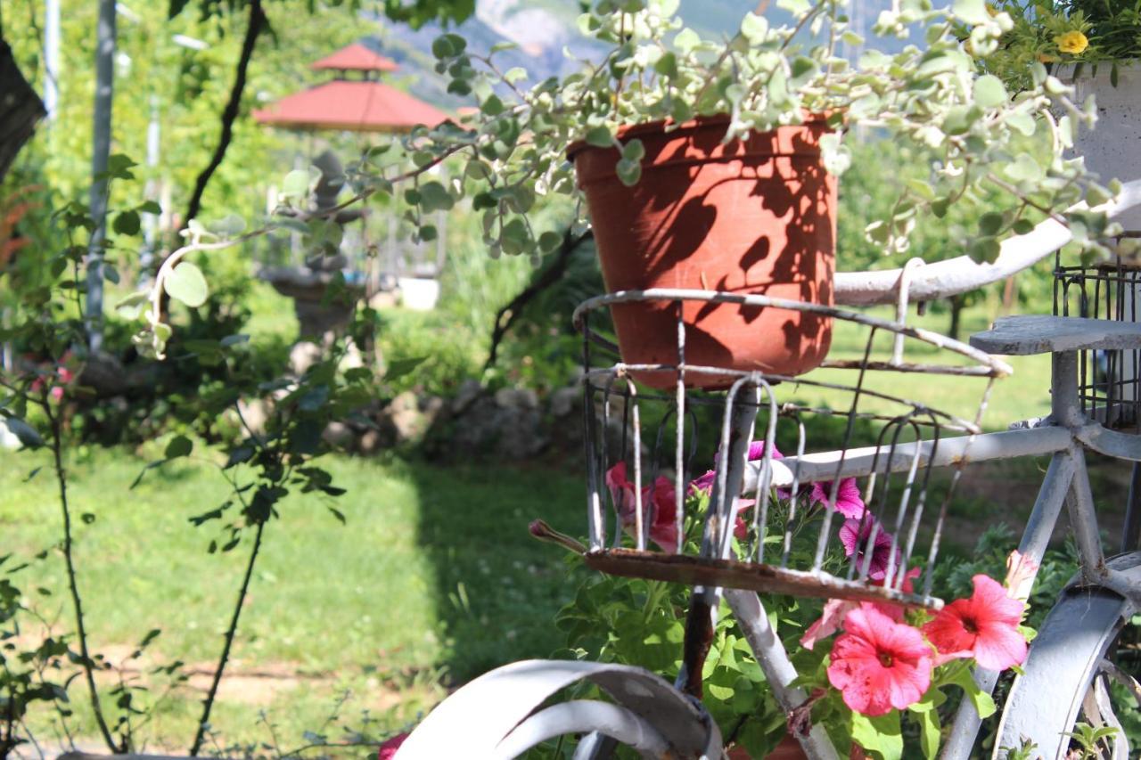 Villa Casa Botanica à Blagaj Extérieur photo